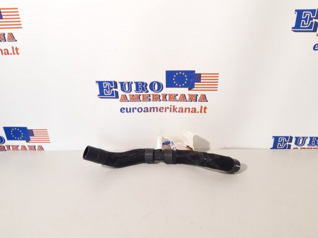 Viršutinė žarna